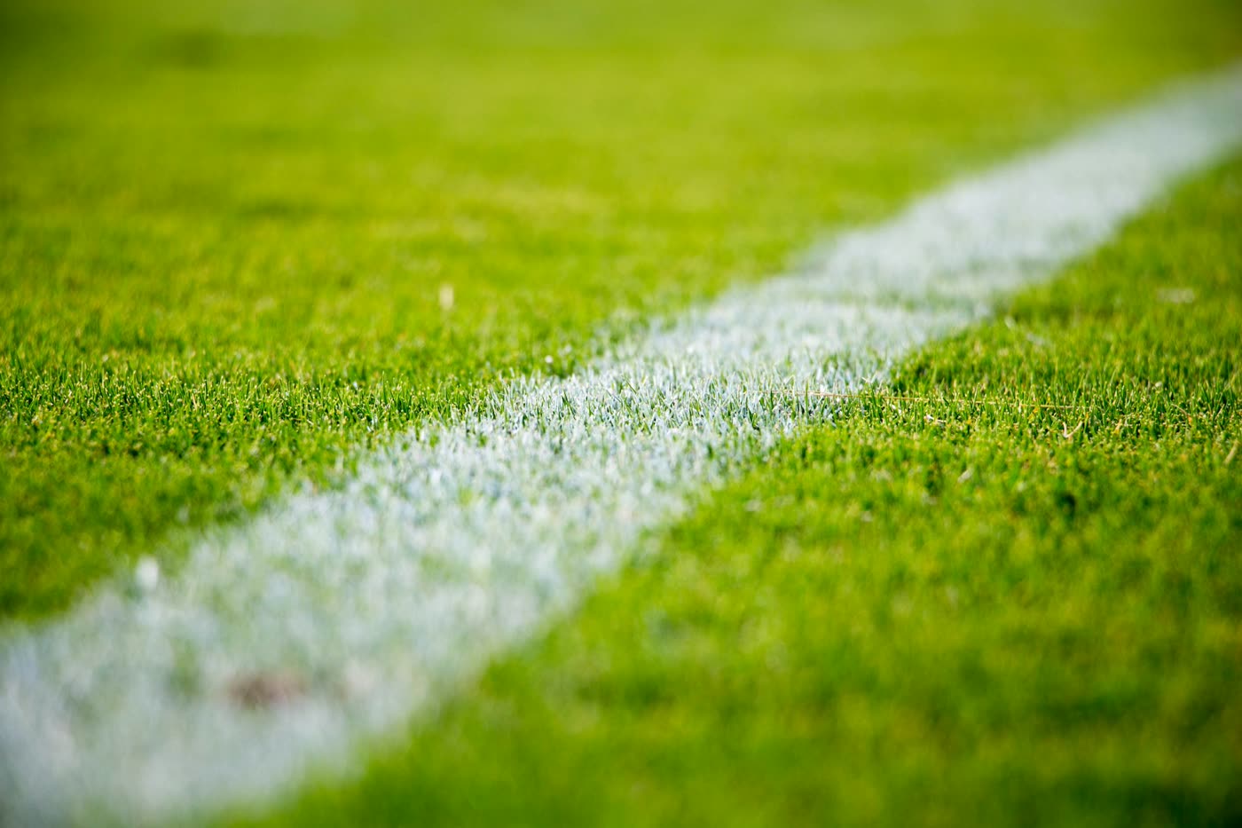 Pasto Bermuda en cancha