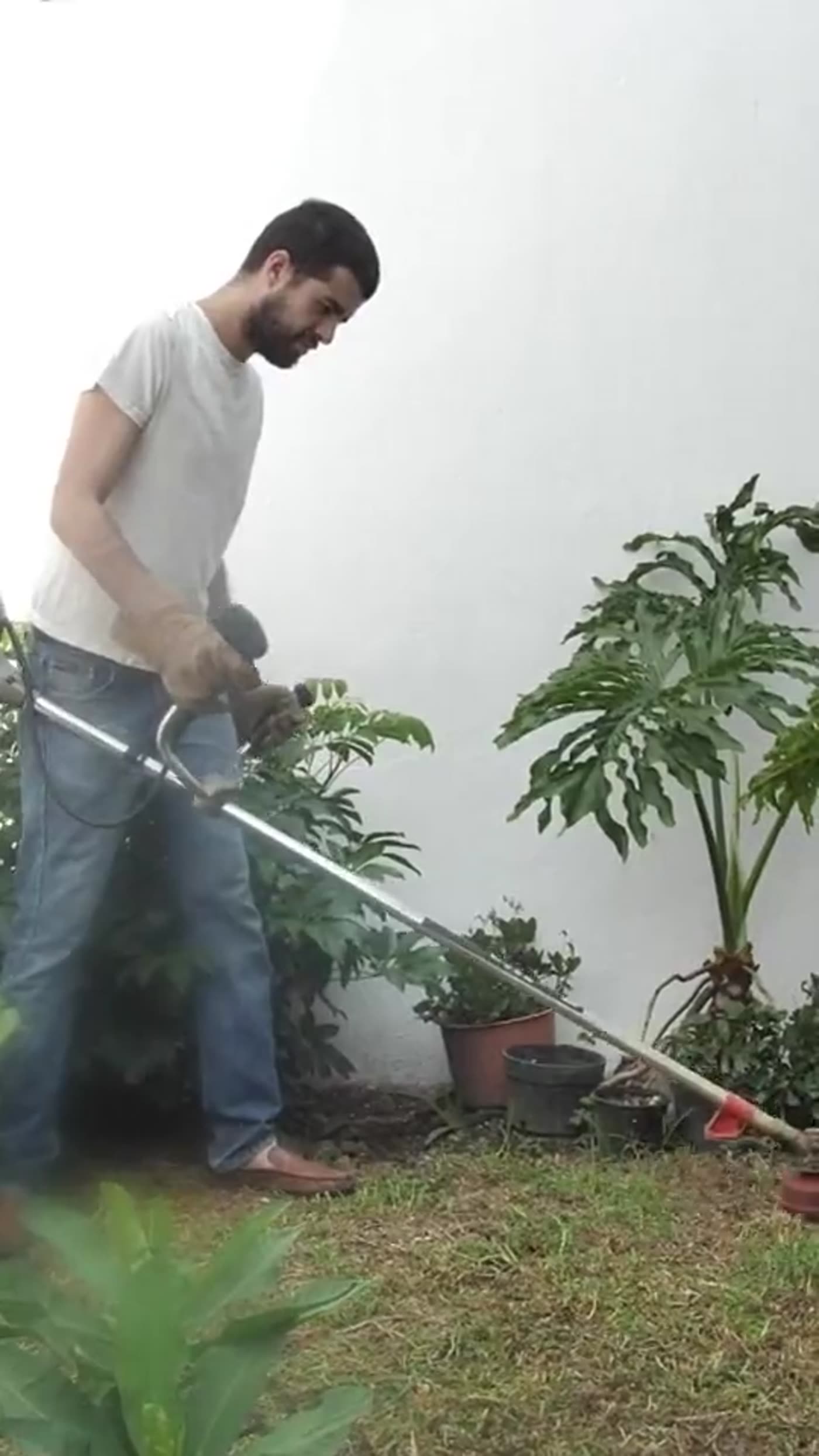 Trabajo de pasto en el jardín