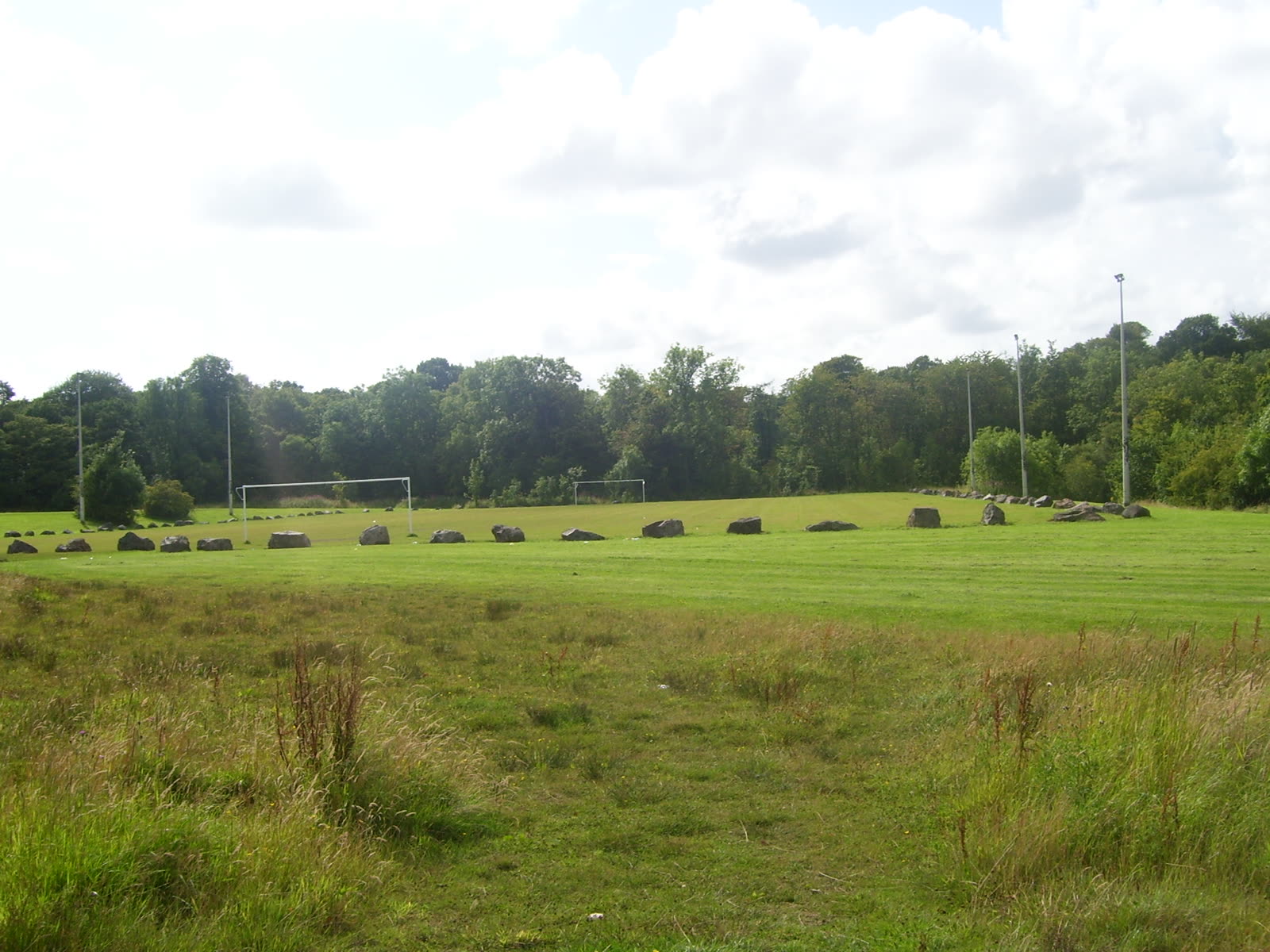Cancha de fútbol con área verde