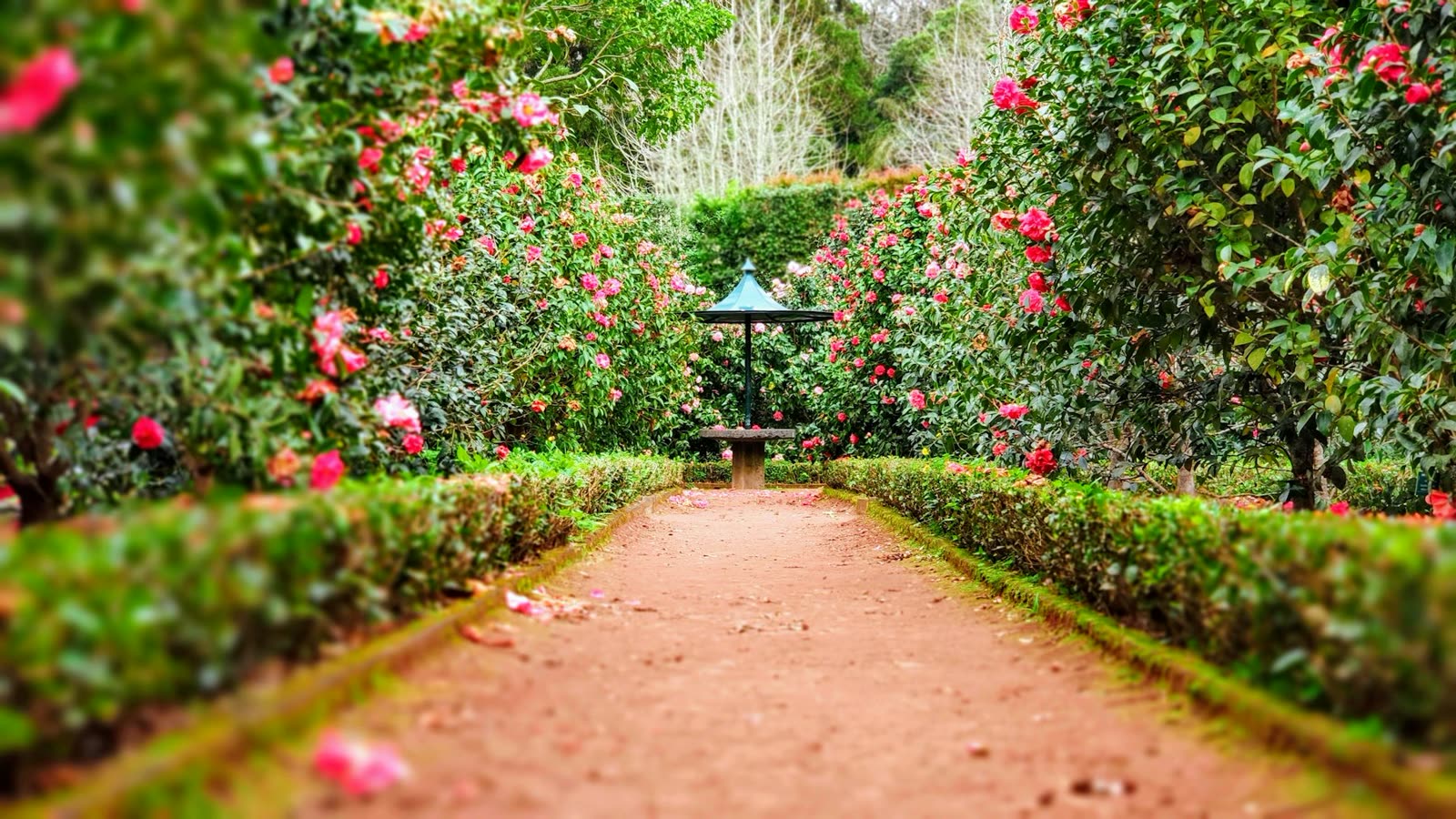 Jardín terminado