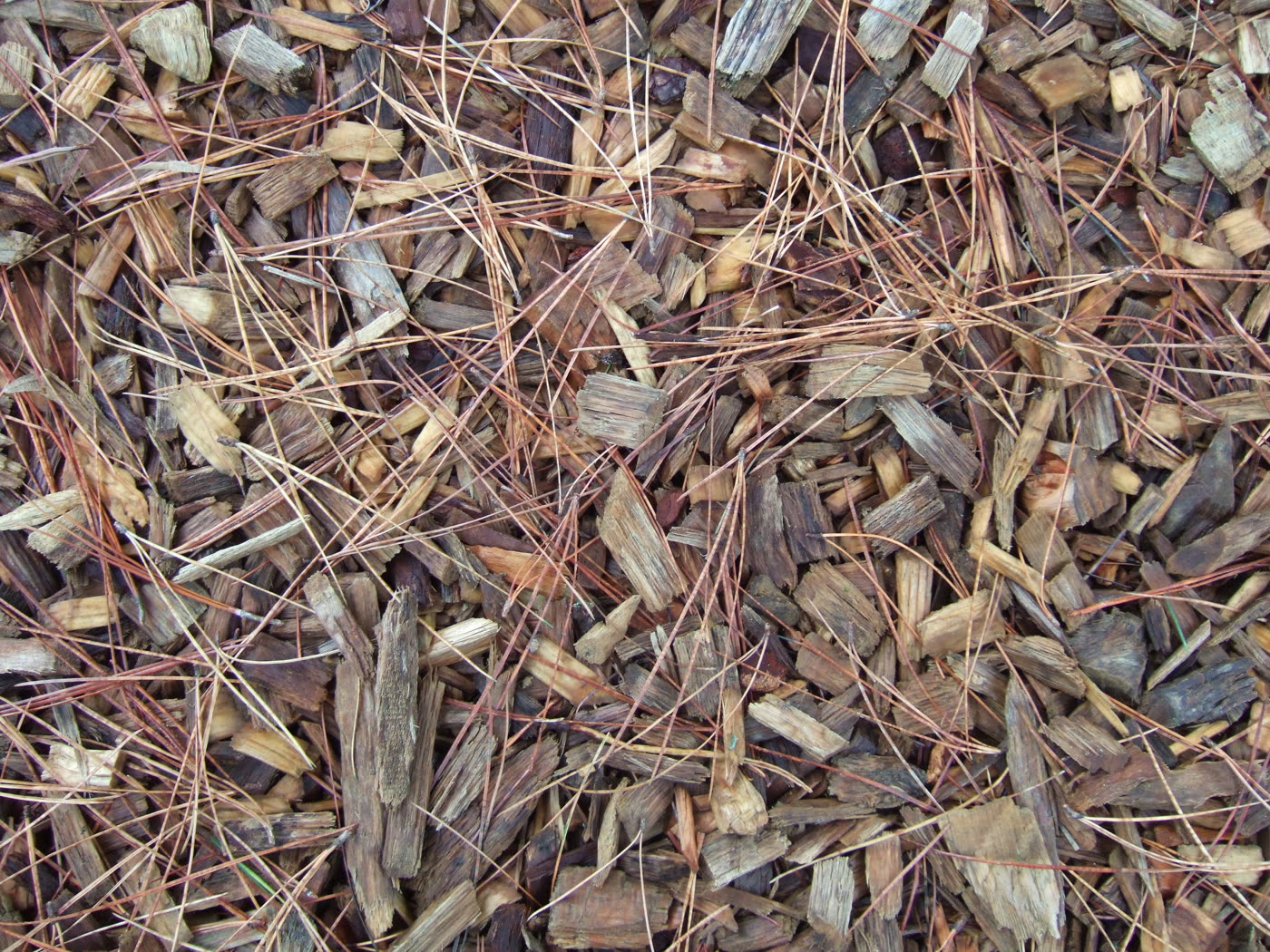 Mulch natural